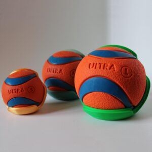 Ball Buddy – Labdatartó
